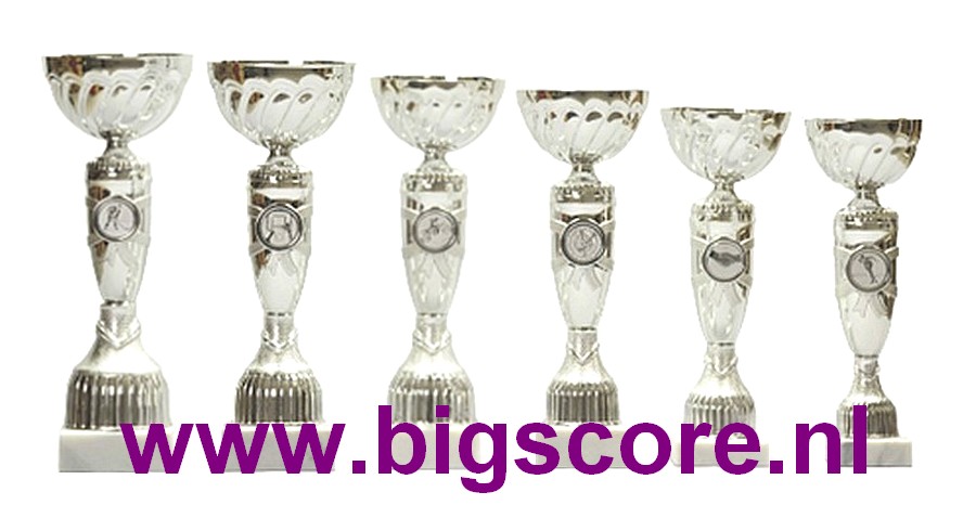 Z522 Beker Zilver